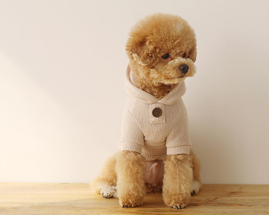 WAFFLE HOOD ( IVORY)