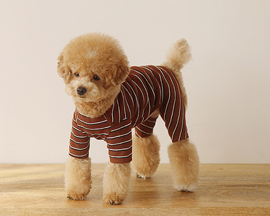 불규칙 STRIPE all-in-one (BROWN)