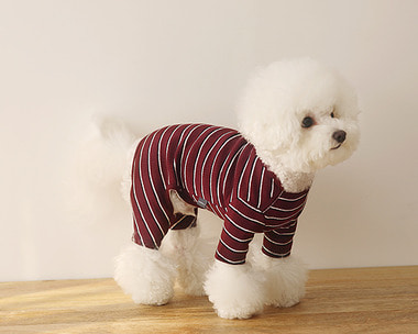 불규칙 STRIPE all-in-one(WINE)