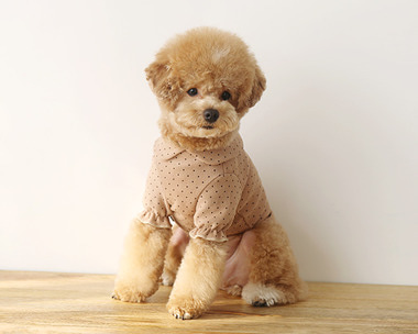 DOT RUFFLE-T (LIGHT BROWN)
