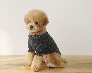 DOT RUFFLE-T (GRAY)