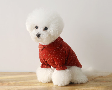 DOT RUFFLE-T (RED)