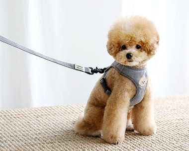bebe custom harness.NO.2 (gray)