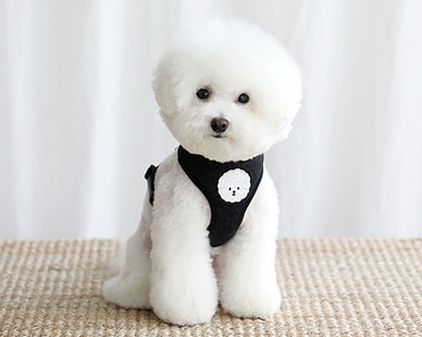 bebe custom harness.NO.2 (black)