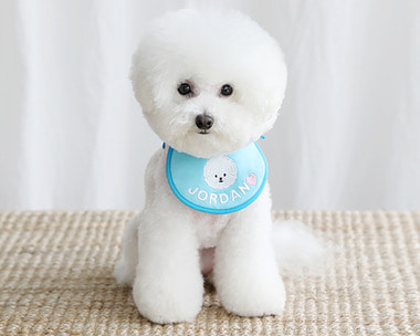 smile bebe scarf bib (blue)