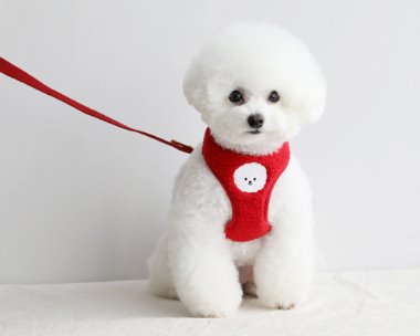 bubble custom harness (red)