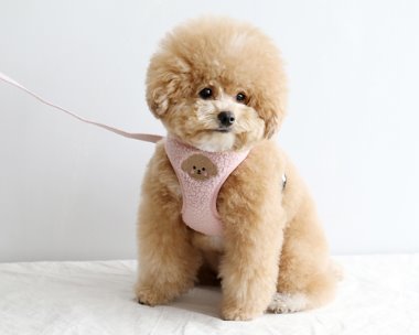 bubble custom harness (pink)