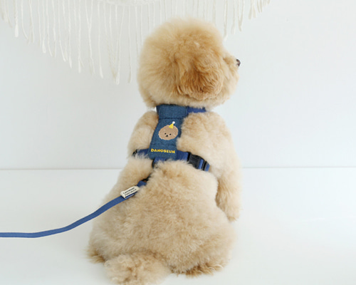 H CUSTOM HARNESS (BLUE)