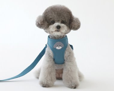 bebe custom harness.NO.2 (AQUA BLUE)