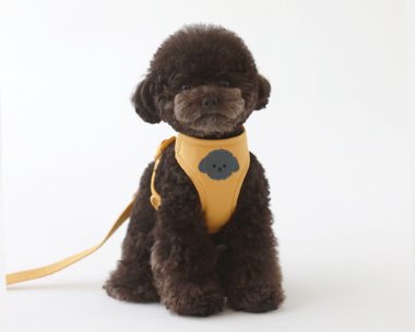 bebe custom harness.NO.2 (DEEP YELLOW)