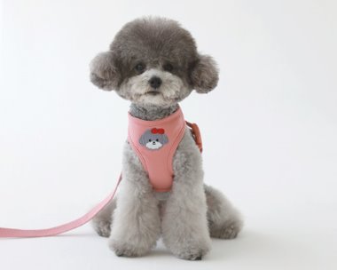 bebe custom harness.NO.2 (ROSE PINK)