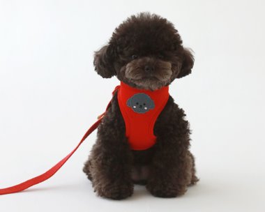 bebe custom harness.NO.2 (RED)